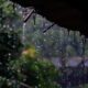 Vientos fuertes y tormentas marcarán las próximas horas en gran parte de Guatemala