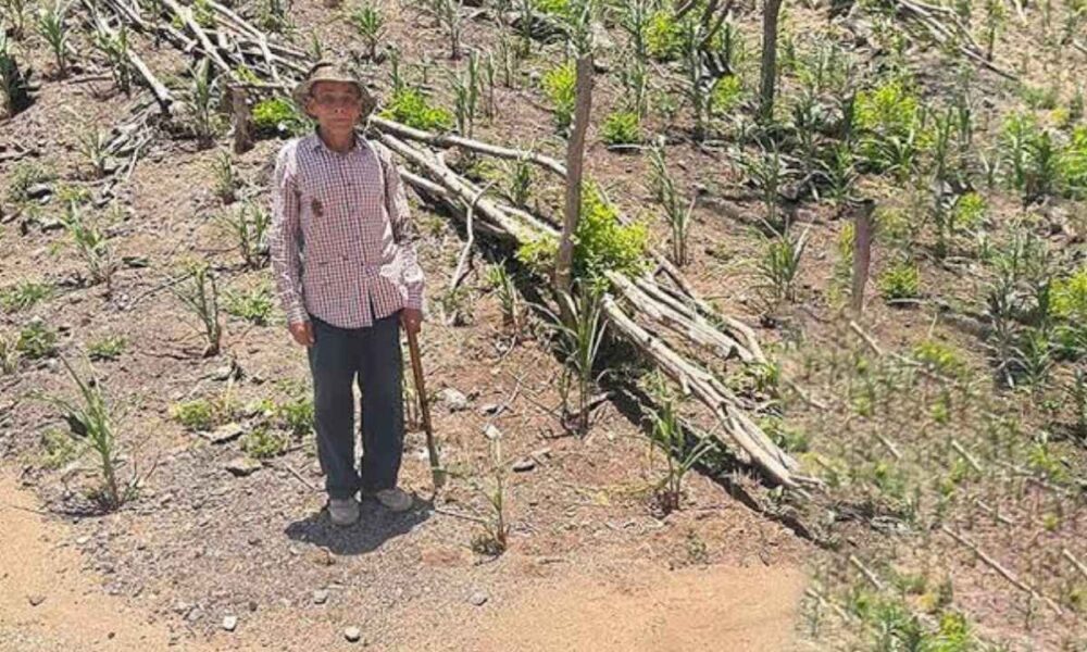 El Niño gana fuerza y podría alcanzar su mayor intensidad a finales de 2026