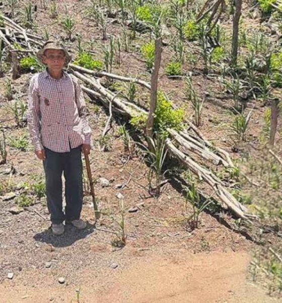 El Niño gana fuerza y podría alcanzar su mayor intensidad a finales de 2026
