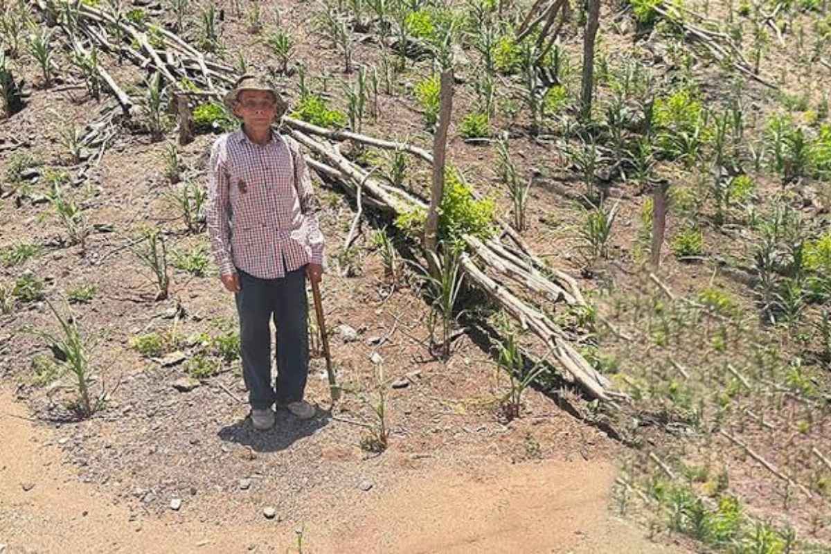 El Niño gana fuerza y podría alcanzar su mayor intensidad a finales de 2026