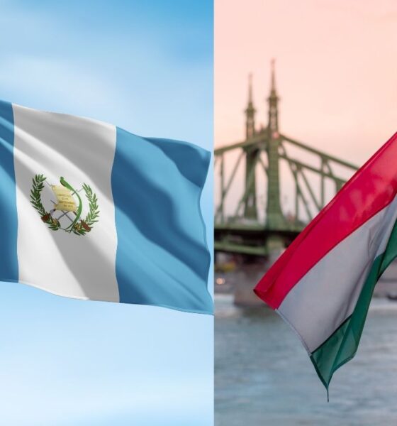 Guatemala amplía cooperación educativa con Hungría así funcionarán los intercambios y becas