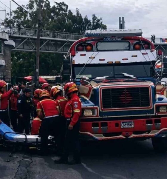 Balean autobús en El Trébol ayudante herido y caos vial