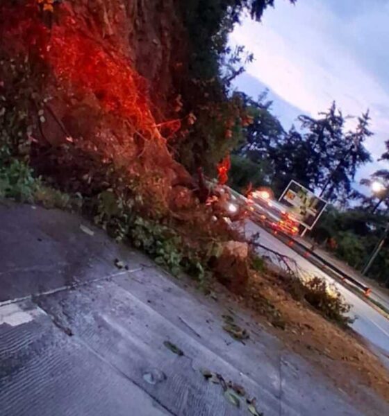 Derrumbe complica el tránsito en la ruta Interamericana