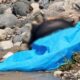 Hallan a mujer sin vida dentro de un río en Chiquimula