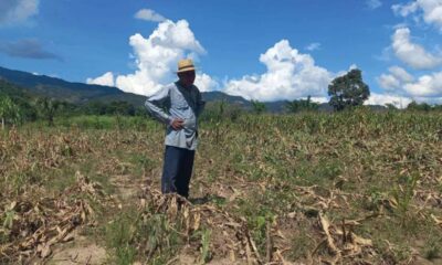 Preparan 600 mil raciones de alimentos para atender zonas afectadas por la sequía