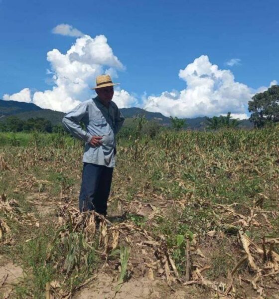 Preparan 600 mil raciones de alimentos para atender zonas afectadas por la sequía