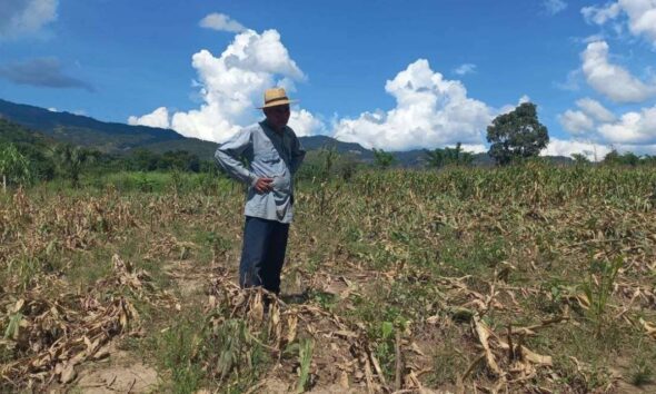 Preparan 600 mil raciones de alimentos para atender zonas afectadas por la sequía