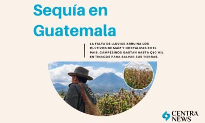 Q10 mil en tinacos para salvar siembras sequía golpea cosechas rurales en Guatemala