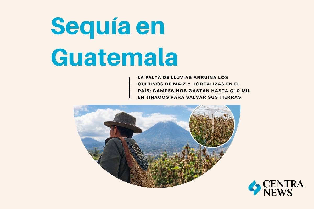Q10 mil en tinacos para salvar siembras sequía golpea cosechas rurales en Guatemala