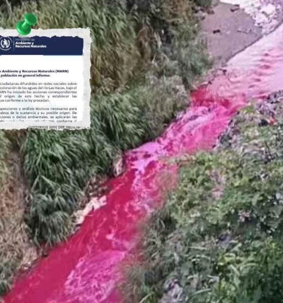 ¿Por qué el río Las Vacas se volvió rojo MARN ya investiga el caso