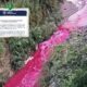 ¿Por qué el río Las Vacas se volvió rojo MARN ya investiga el caso