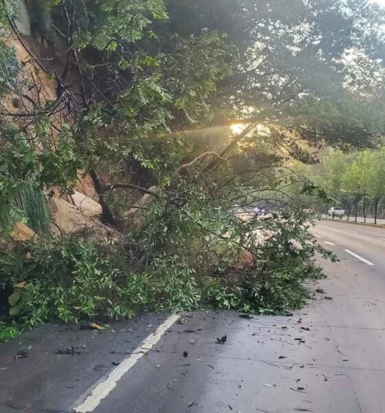 ¿Qué pasó en la ruta Interamericana Derrumbe afecta el paso en el km 23