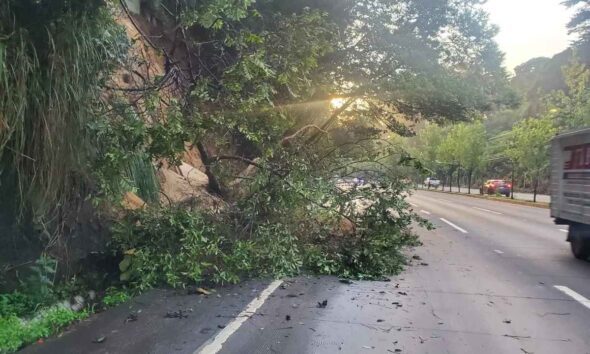 ¿Qué pasó en la ruta Interamericana Derrumbe afecta el paso en el km 23