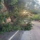 ¿Qué pasó en la ruta Interamericana Derrumbe afecta el paso en el km 23