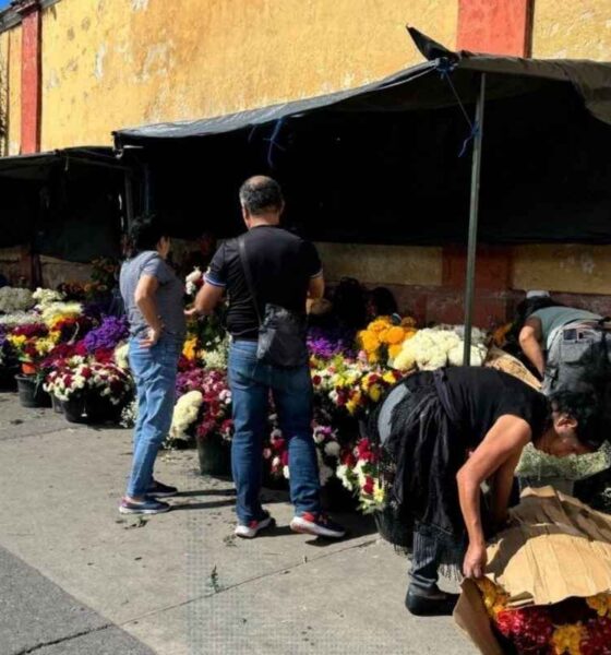 Asueto del 1 de noviembre ¿habrá puente en Guatemala
