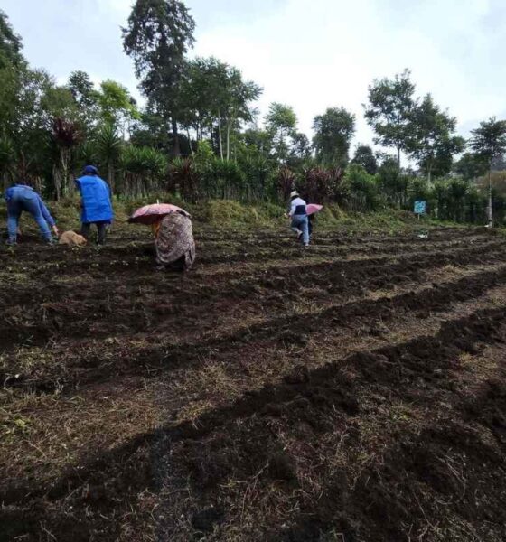 Lluvias disparan la humedad en Guatemala 193 municipios están bajo monitoreo
