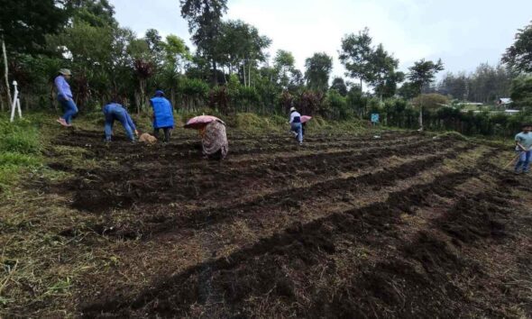 Lluvias disparan la humedad en Guatemala 193 municipios están bajo monitoreo