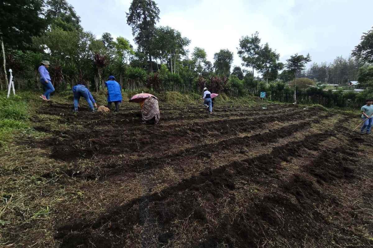 Lluvias disparan la humedad en Guatemala 193 municipios están bajo monitoreo