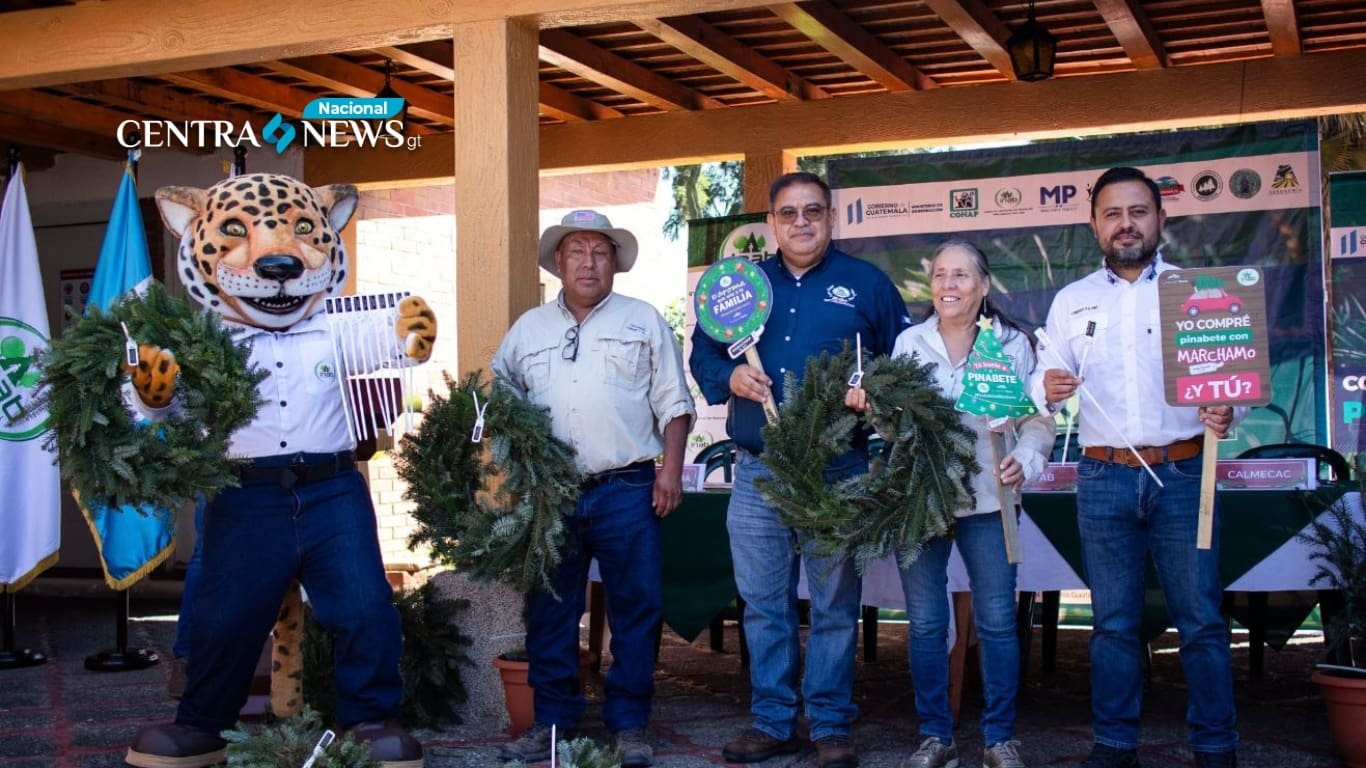 Arrancan las ferias del pinabete en Guatemala este 2023