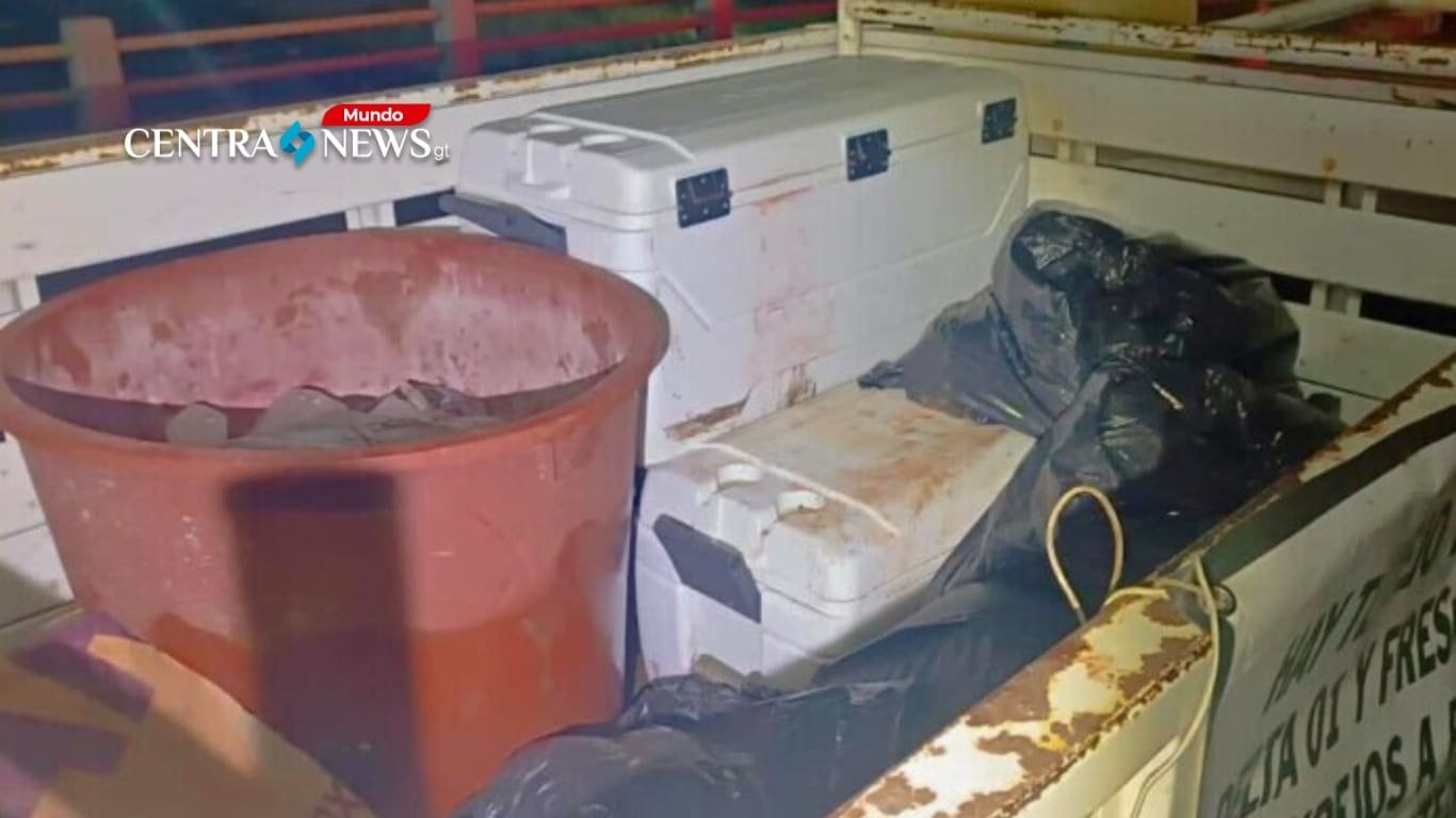 Encuentran cuerpos desmembrados y narcomantas del CJNG en Veracruz