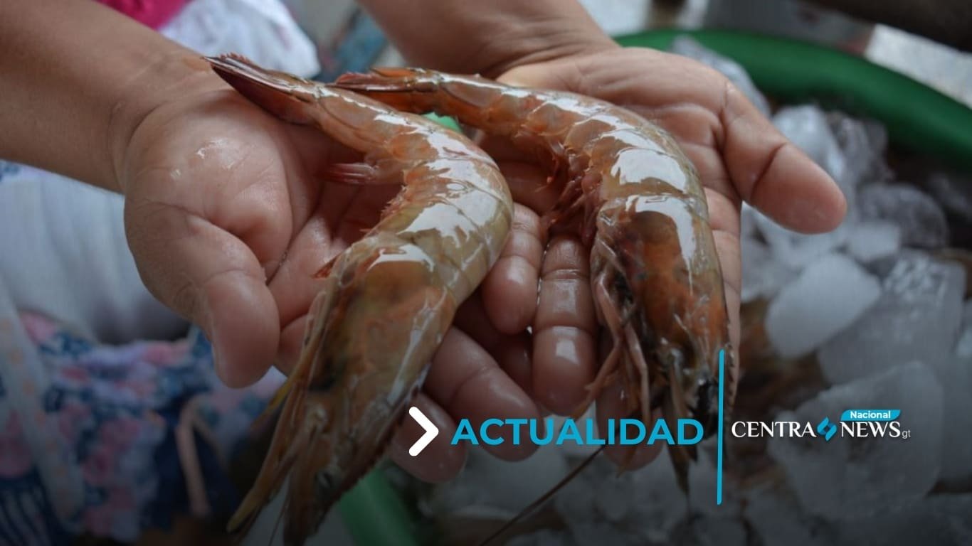 Descubre los beneficios de las vedas