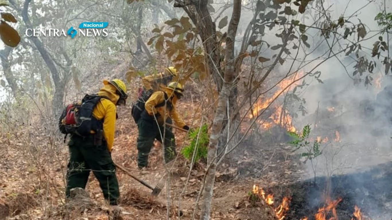 Aumentan los incendios en Guatemala 38 reportados por la Conred