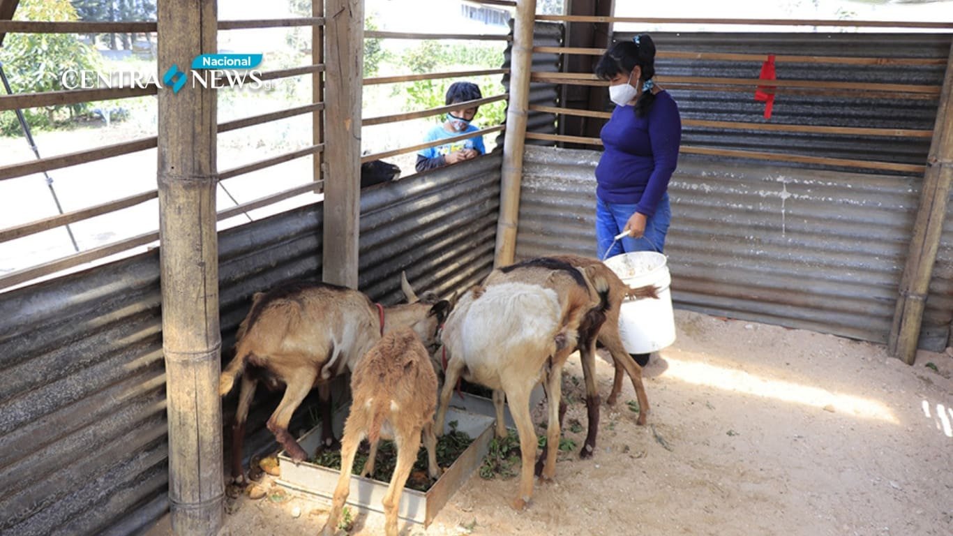 sector agropecuario con polución