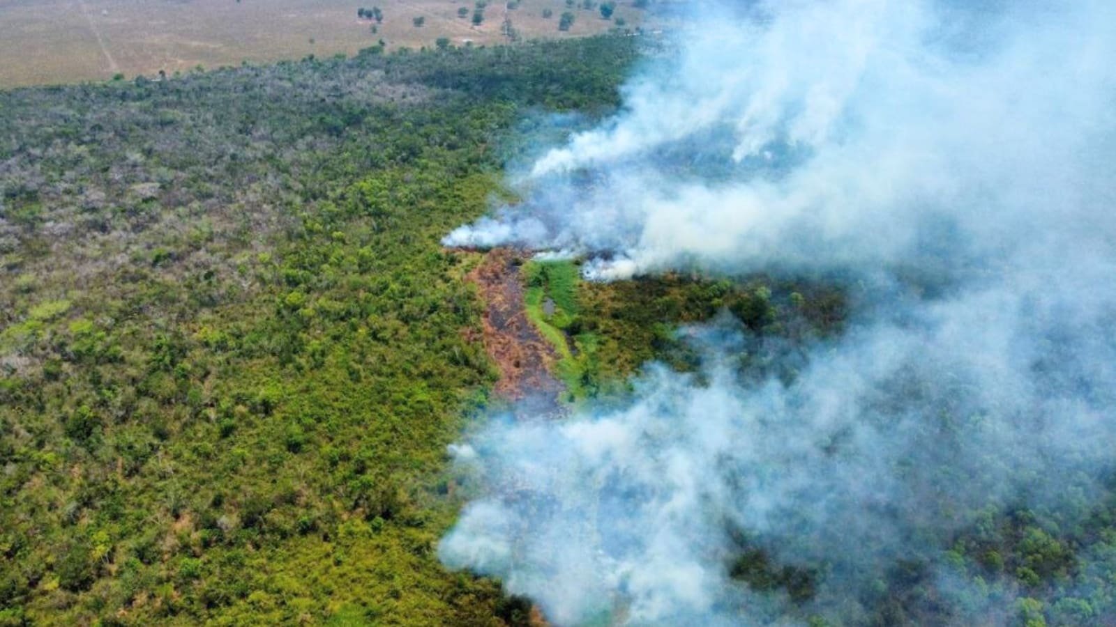 Incendios forestales en Guatemala: Restaurar la selva tomará alrededor de 100 años