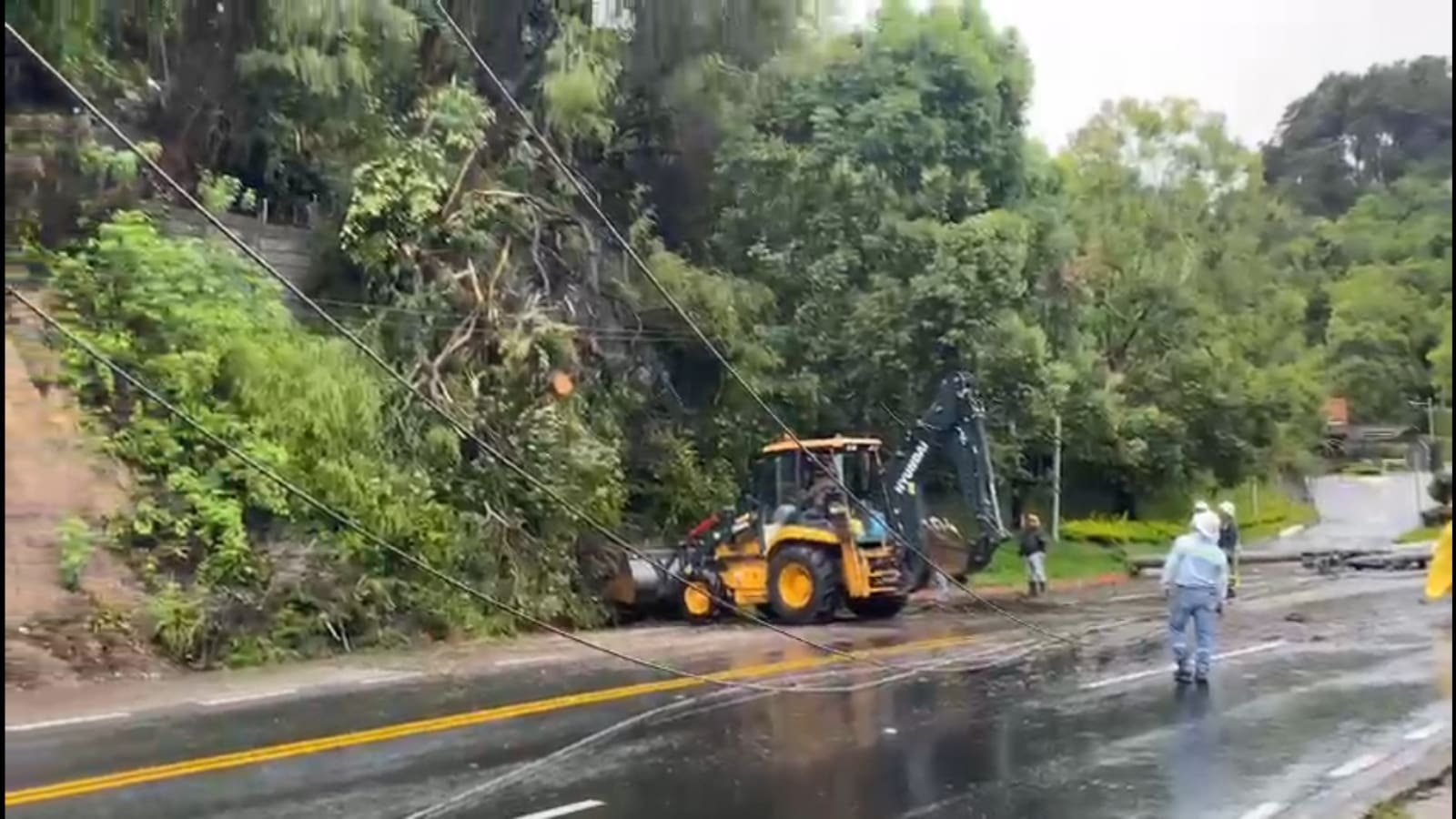 Árbol derriba postes y causa corte de energía en Muxbal