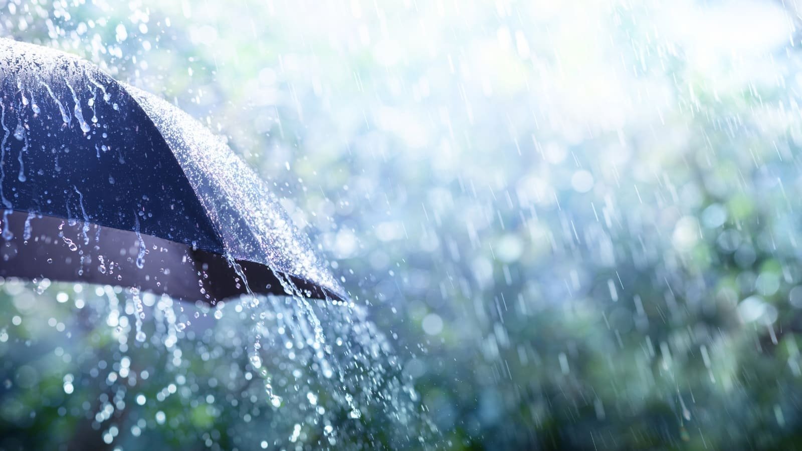 Pronóstico semanal Persisten las lluvias por tres ondas tropicales