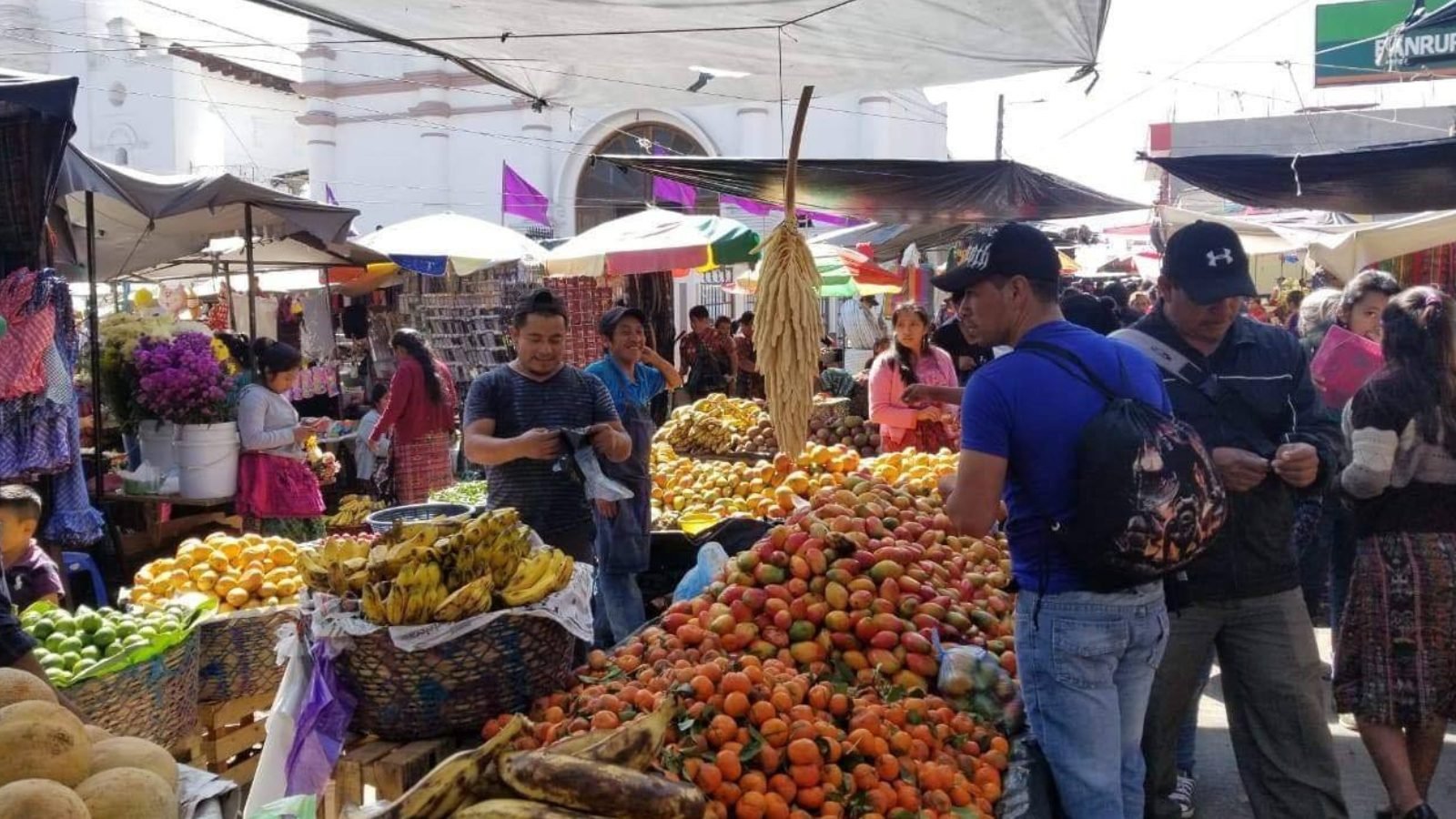 Reporte de la Diaco revela reducción en precios de alimentos básicos