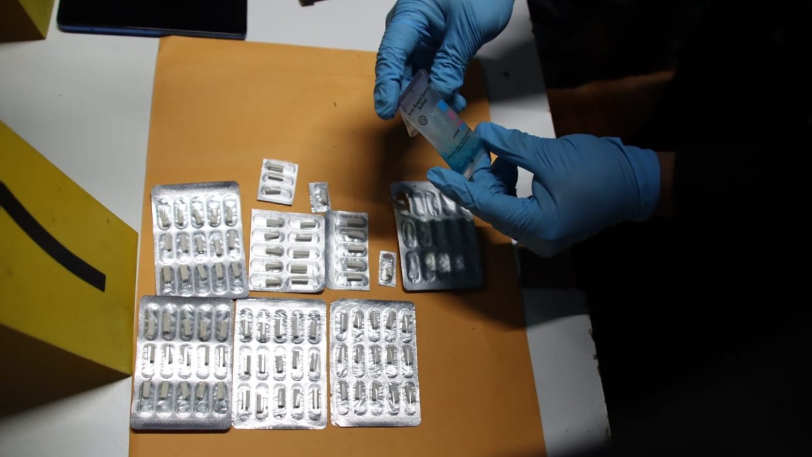 Siete capturados y más de 177 mil plantas de marihuana incineradas en operativos antidrogas