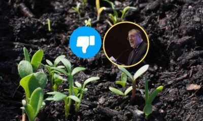 Empresarios del Agro critican gestión de Bernardo Arévalo en su primer año