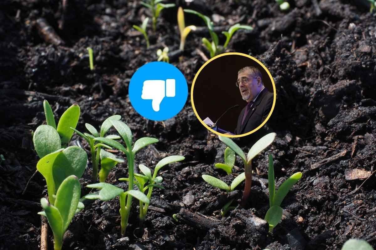 Empresarios del Agro critican gestión de Bernardo Arévalo en su primer año