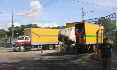 Vuelven a la normalidad Recolectores de desechos reanudan labores en la capital tras manifestaciones