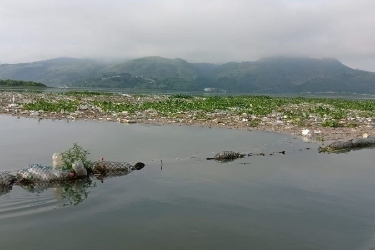 Alerta por toxinas en el Lago de Amatitlán AMSA detecta niveles peligrosos de microcistinas
