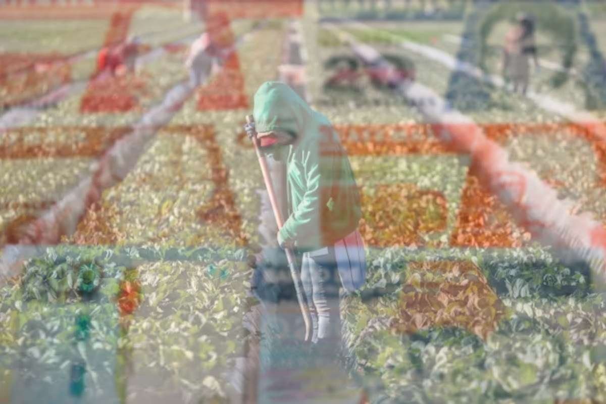 Récord histórico remesas guatemaltecas superan los US$2 mil millones en marzo