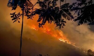 Guatemala pierde 16 mil hectáreas por incendios en 2025, según Conred