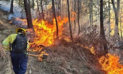 Incendios en Guatemala caen un 60% en 2025 ¿qué factores marcaron la diferencia