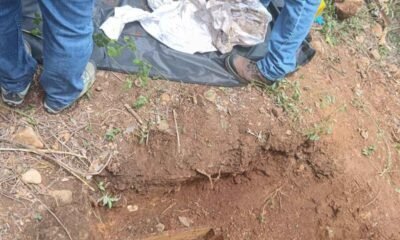 Osamenta de bebé y rescate de niños revelan horror en secta Lev Tahor