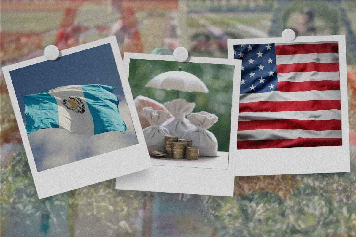 Remesas impulsan nuevas proyecciones económicas para 2025