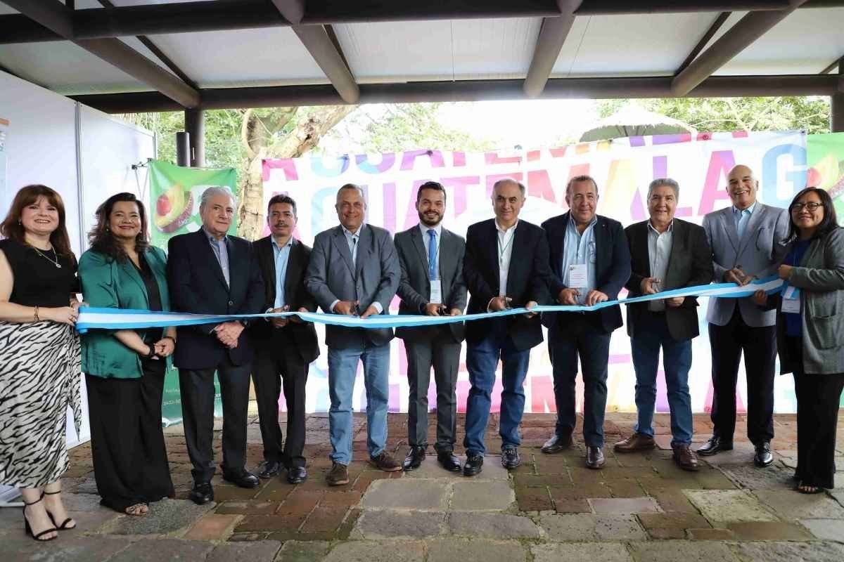 Agexport Guatemala impulsa la expansión internacional del aguacate con enfoque sostenible