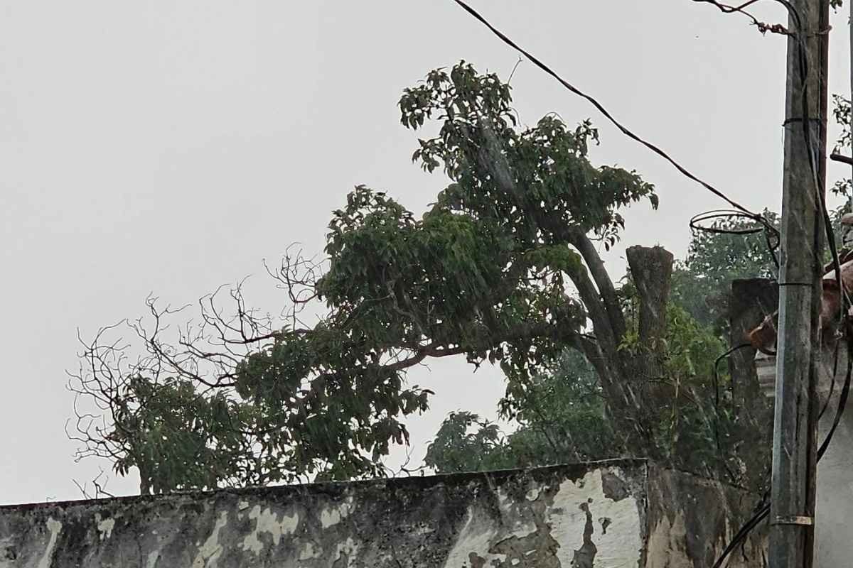 Lluvias con tormenta y neblina marcarán el inicio de semana en gran parte del país