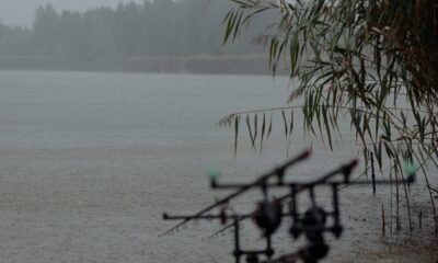 Lluvias y tormentas eléctricas regresan tras la canícula, advierte Insivumeh