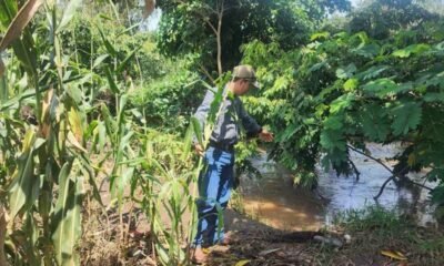 MAGA intensifica vigilancia por daños en cultivos ante lluvias en 13 departamentos