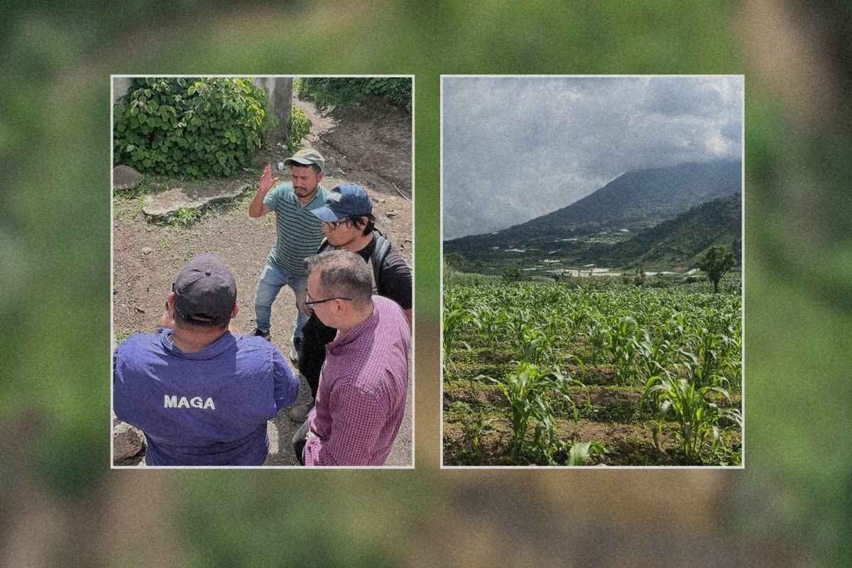 MAGA verifica daños agrícolas tras sismos en Sacatepéquez