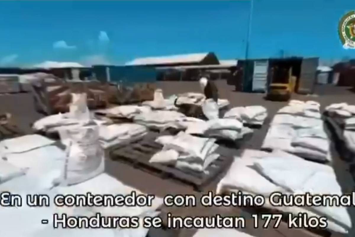 Colombia incauta cinco toneladas de cocaína que serían enviadas a Guatemala, Honduras y Europa