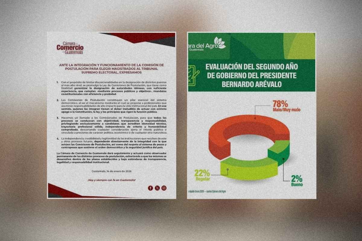 Cámara de Comercio pide objetividad en elección del TSE