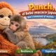 Punch, el bebé macaco que conquistó internet: una historia viral sobre apego, empatía y segundas oportunidades