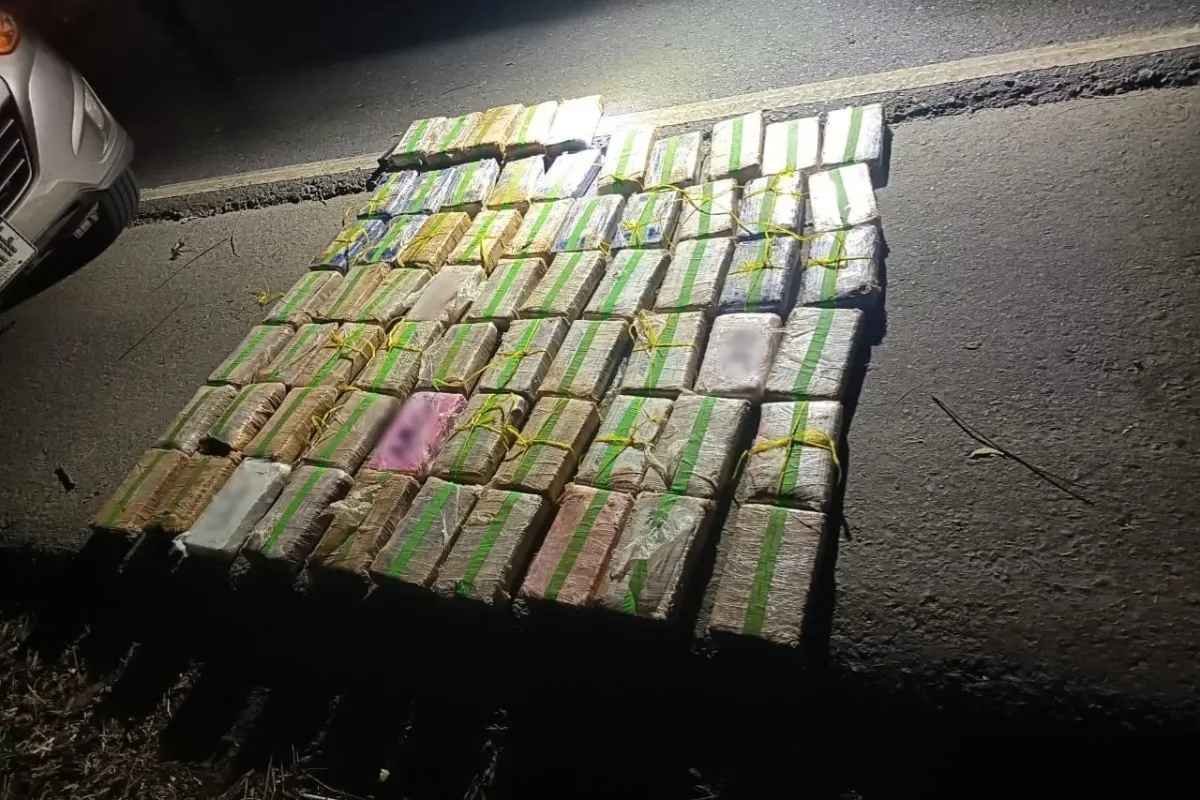 Decomiso de cocaína en Izabal autoridades localizan 65 paquetes y armas durante operativo